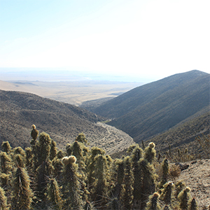 Quebrada el Leon